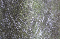 Windmill Hill fibreglass roof work